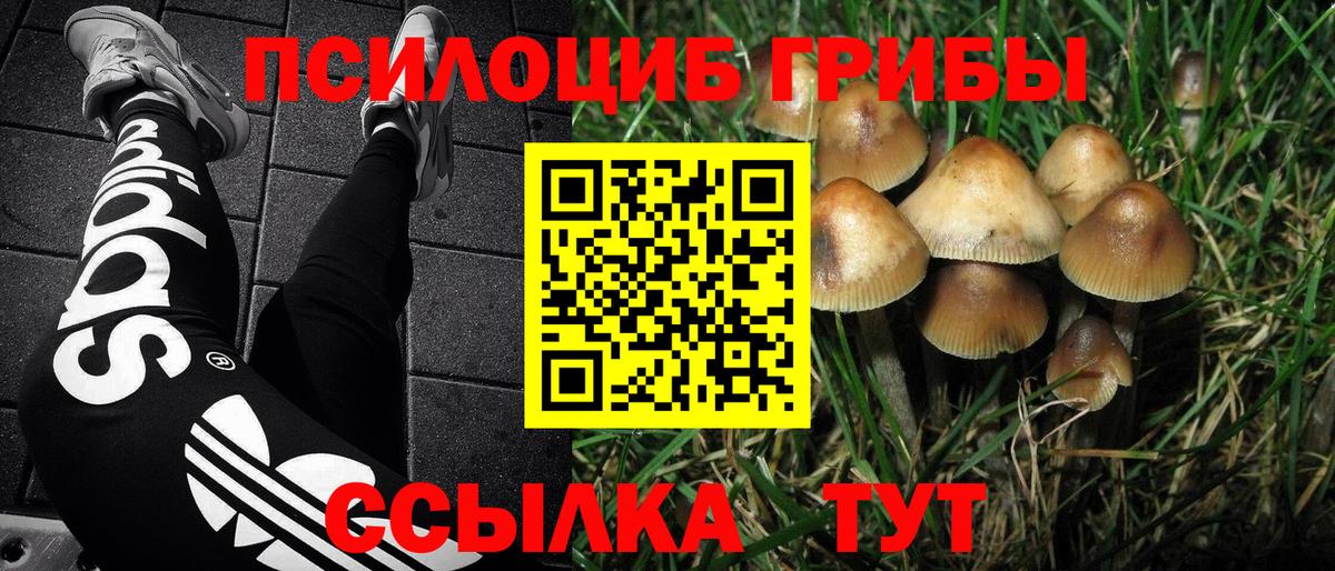 Галлюциногенные грибы MAGIC MUSHROOMS Тобольск