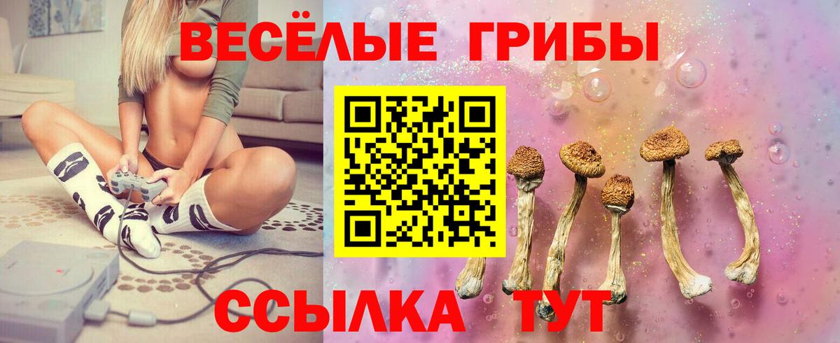 Тобольск  Галлюциногенные грибы Psilocybe  Псилоцибиновые грибы мицелий  Вход с VPN 